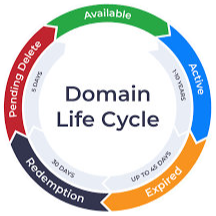 Lifecycle of a Domain Name